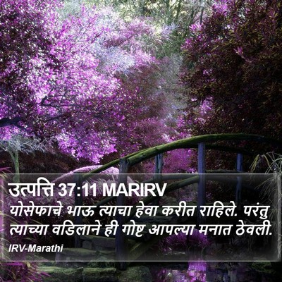 उत्पत्ति 37:11 MARIRV Bible Verse Image