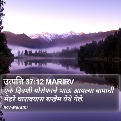 उत्पत्ति 37:12 MARIRV Bible Verse Image