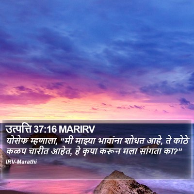 उत्पत्ति 37:16 MARIRV Bible Verse Image