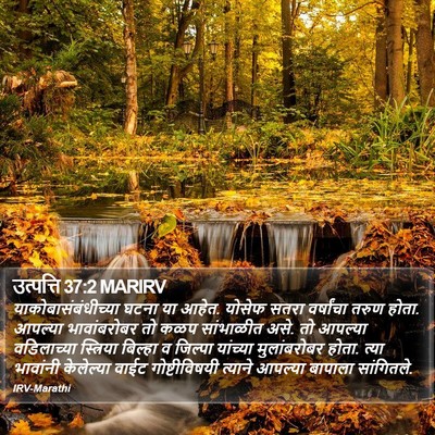 उत्पत्ति 37:2 MARIRV Bible Verse Image