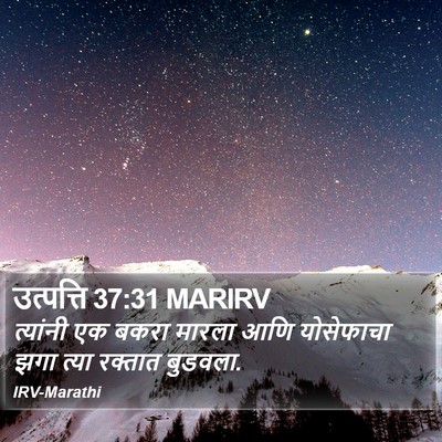 उत्पत्ति 37:31 MARIRV Bible Verse Image