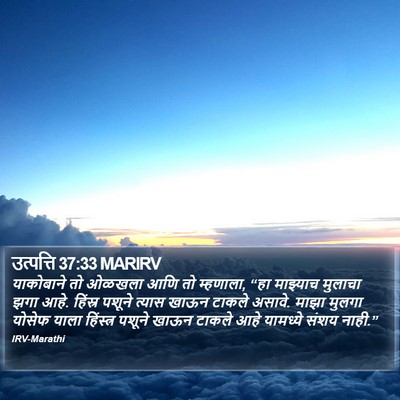 उत्पत्ति 37:33 MARIRV Bible Verse Image