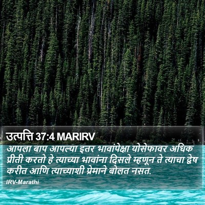 उत्पत्ति 37:4 MARIRV Bible Verse Image