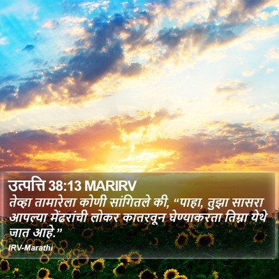 उत्पत्ति 38:13 MARIRV Bible Verse Image
