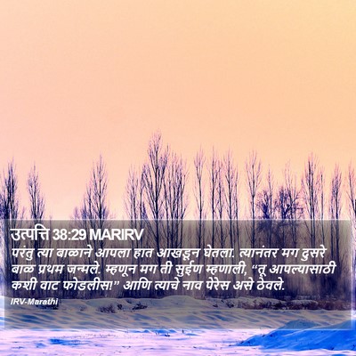 उत्पत्ति 38:29 MARIRV Bible Verse Image