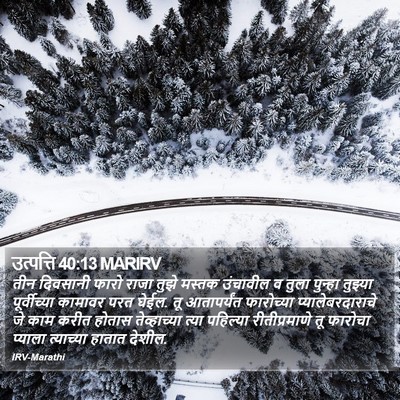 उत्पत्ति 40:13 MARIRV Bible Verse Image