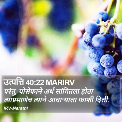 उत्पत्ति 40:22 MARIRV Bible Verse Image