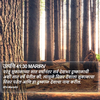 उत्पत्ति 41:30 MARIRV Bible Verse Image