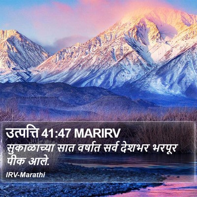 उत्पत्ति 41:47 MARIRV Bible Verse Image