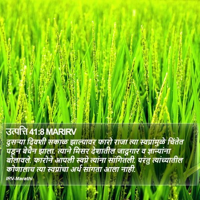 उत्पत्ति 41:8 MARIRV Bible Verse Image