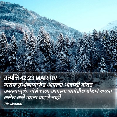 उत्पत्ति 42:23 MARIRV Bible Verse Image