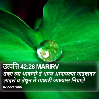 उत्पत्ति 42:26 MARIRV Bible Verse Image
