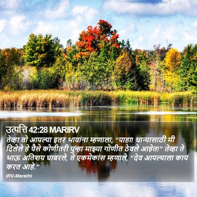उत्पत्ति 42:28 MARIRV Bible Verse Image