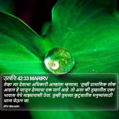 उत्पत्ति 42:33 MARIRV Bible Verse Image
