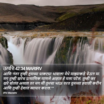 उत्पत्ति 42:34 MARIRV Bible Verse Image