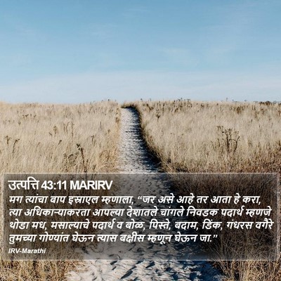 उत्पत्ति 43:11 MARIRV Bible Verse Image