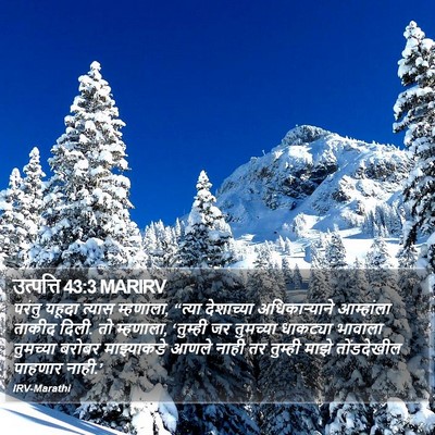 उत्पत्ति 43:3 MARIRV Bible Verse Image