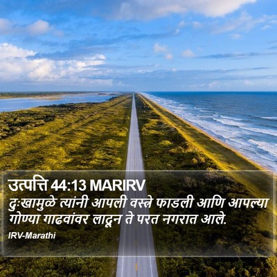 उत्पत्ति 44:13 MARIRV Bible Verse Image
