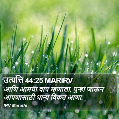 उत्पत्ति 44:25 MARIRV Bible Verse Image