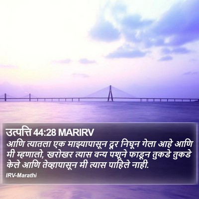 उत्पत्ति 44:28 MARIRV Bible Verse Image