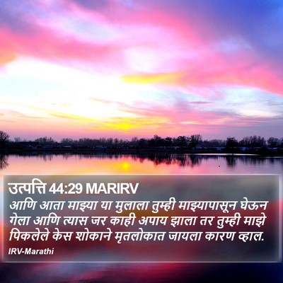 उत्पत्ति 44:29 MARIRV Bible Verse Image