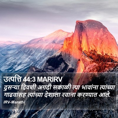 उत्पत्ति 44:3 MARIRV Bible Verse Image