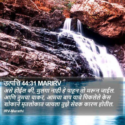 उत्पत्ति 44:31 MARIRV Bible Verse Image