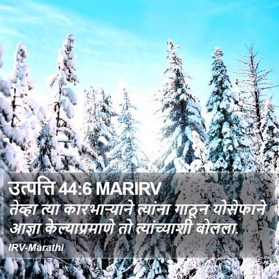 उत्पत्ति 44:6 MARIRV Bible Verse Image