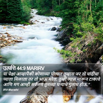 उत्पत्ति 44:9 MARIRV Bible Verse Image