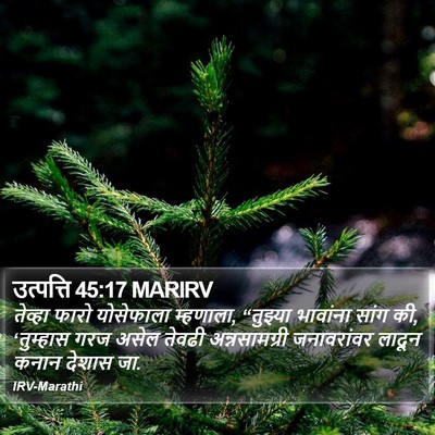 उत्पत्ति 45:17 MARIRV Bible Verse Image