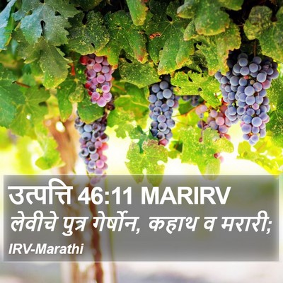 उत्पत्ति 46:11 MARIRV Bible Verse Image
