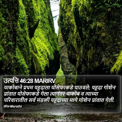उत्पत्ति 46:28 MARIRV Bible Verse Image