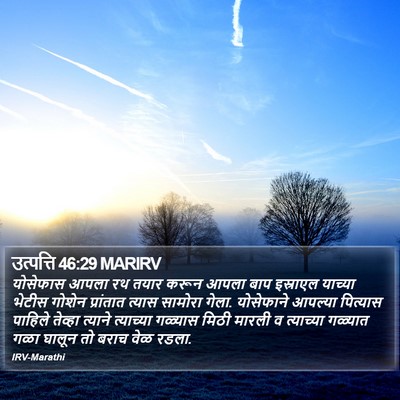 उत्पत्ति 46:29 MARIRV Bible Verse Image