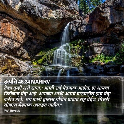 उत्पत्ति 46:34 MARIRV Bible Verse Image