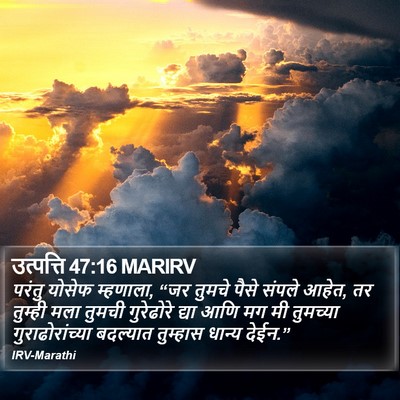 उत्पत्ति 47:16 MARIRV Bible Verse Image