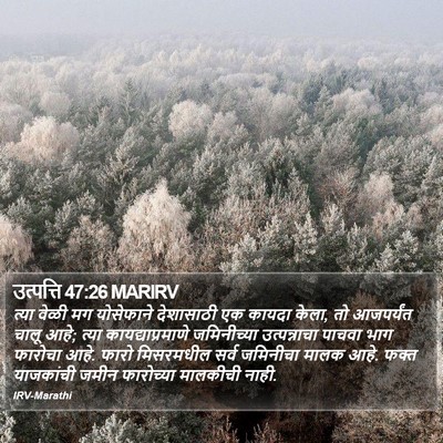 उत्पत्ति 47:26 MARIRV Bible Verse Image