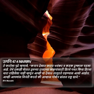 उत्पत्ति 47:4 MARIRV Bible Verse Image