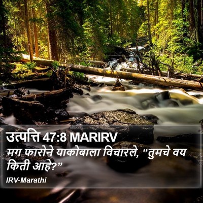उत्पत्ति 47:8 MARIRV Bible Verse Image