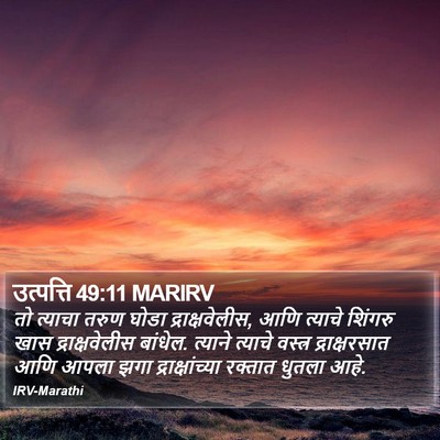 उत्पत्ति 49:11 MARIRV Bible Verse Image