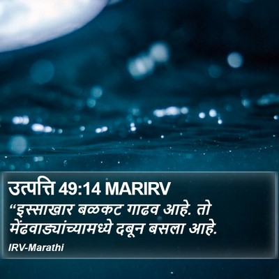 उत्पत्ति 49:14 MARIRV Bible Verse Image