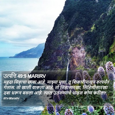 उत्पत्ति 49:9 MARIRV Bible Verse Image