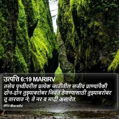 उत्पत्ति 6:19 MARIRV Bible Verse Image