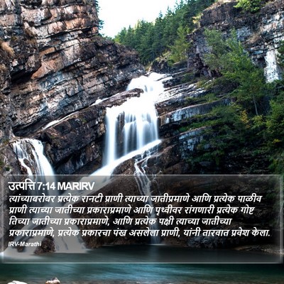 उत्पत्ति 7:14 MARIRV Bible Verse Image