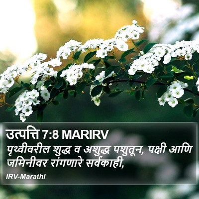 उत्पत्ति 7:8 MARIRV Bible Verse Image