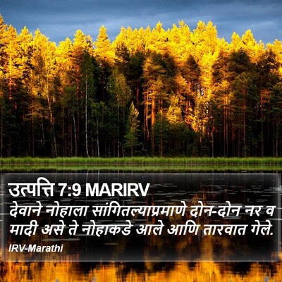 उत्पत्ति 7:9 MARIRV Bible Verse Image
