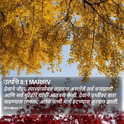 उत्पत्ति 8:1 MARIRV Bible Verse Image