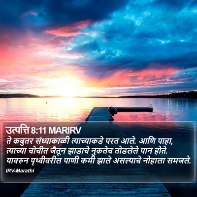 उत्पत्ति 8:11 MARIRV Bible Verse Image