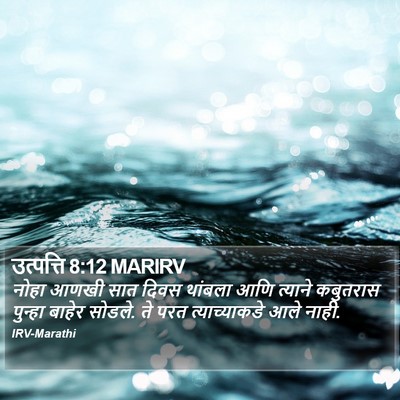 उत्पत्ति 8:12 MARIRV Bible Verse Image