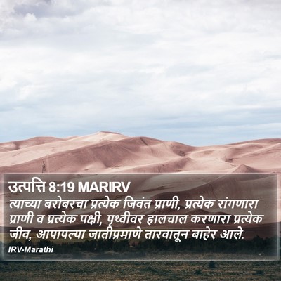 उत्पत्ति 8:19 MARIRV Bible Verse Image
