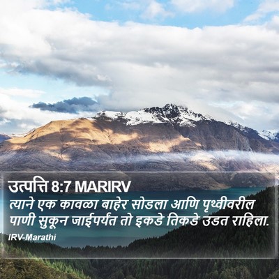 उत्पत्ति 8:7 MARIRV Bible Verse Image